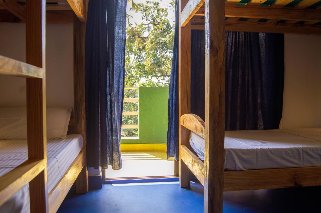 Green Nest Hostel, Baga- North Goa Arpora Εξωτερικό φωτογραφία